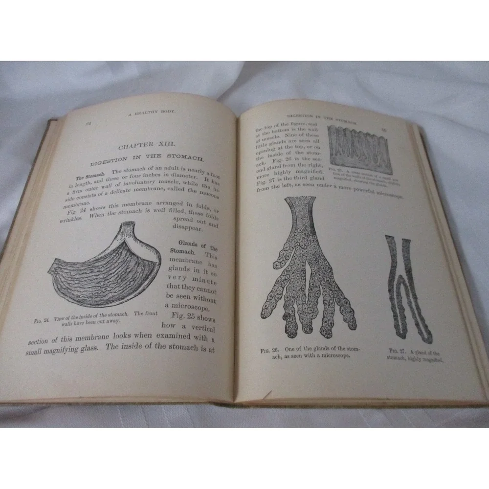 A Healthy Body Charles H Stowell HC Health Drugs Alcohol Tobacco 1898 Revised